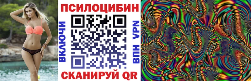 Псилоцибиновые грибы Psilocybe Кондопога